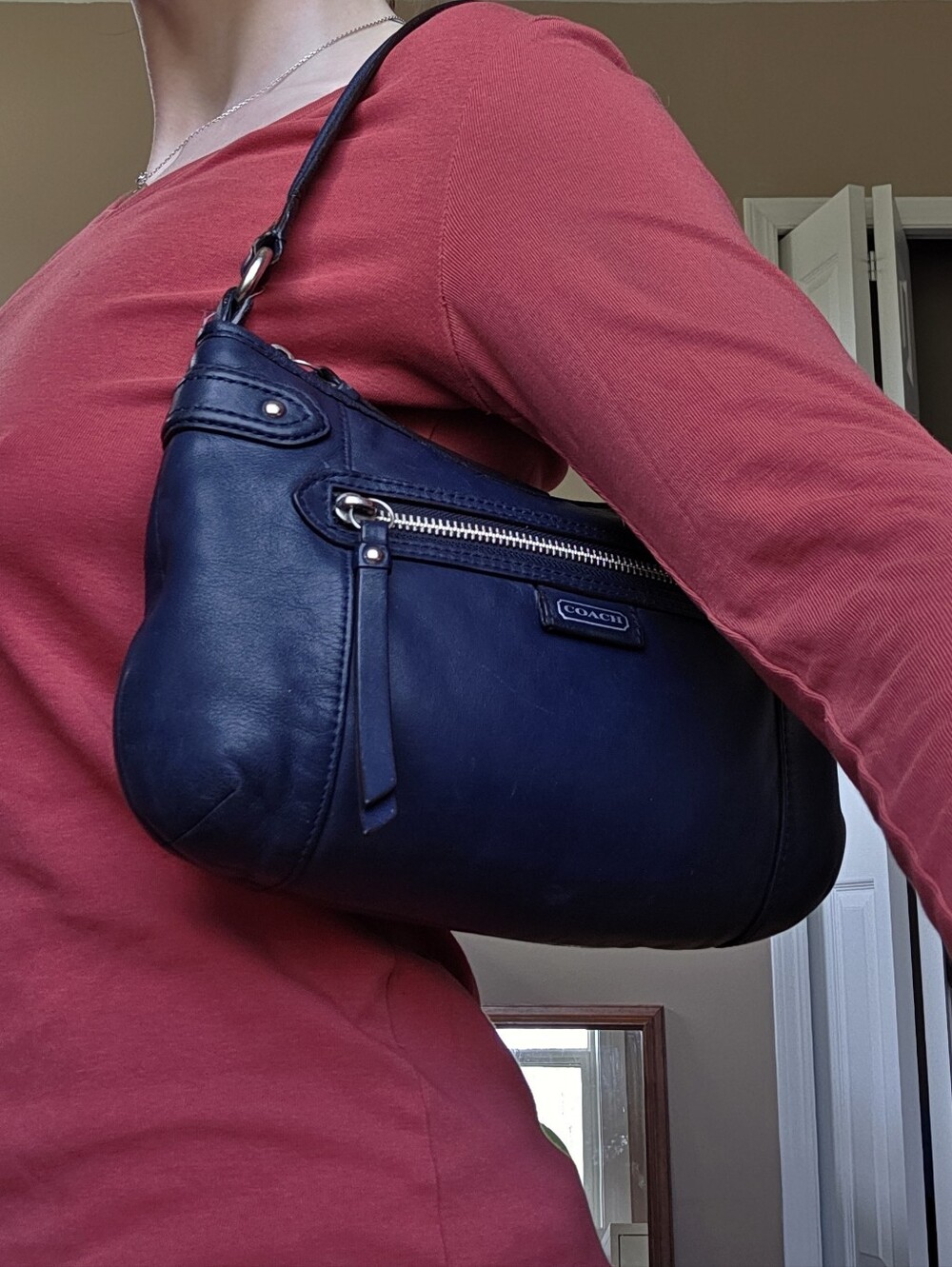 Coach Daisy y2k leather purse